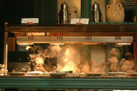 Heat shock proteins