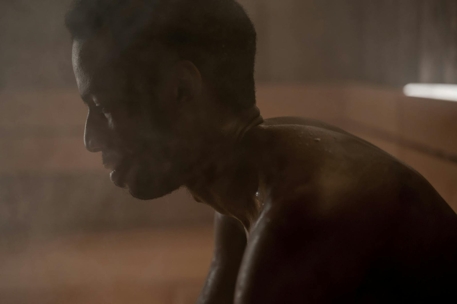 Sauna detox myth